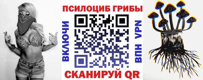 Псилоцибиновые грибы Cubensis  Гусев 